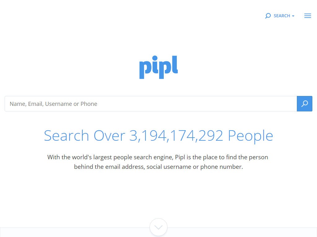 Pipl (People search engine)