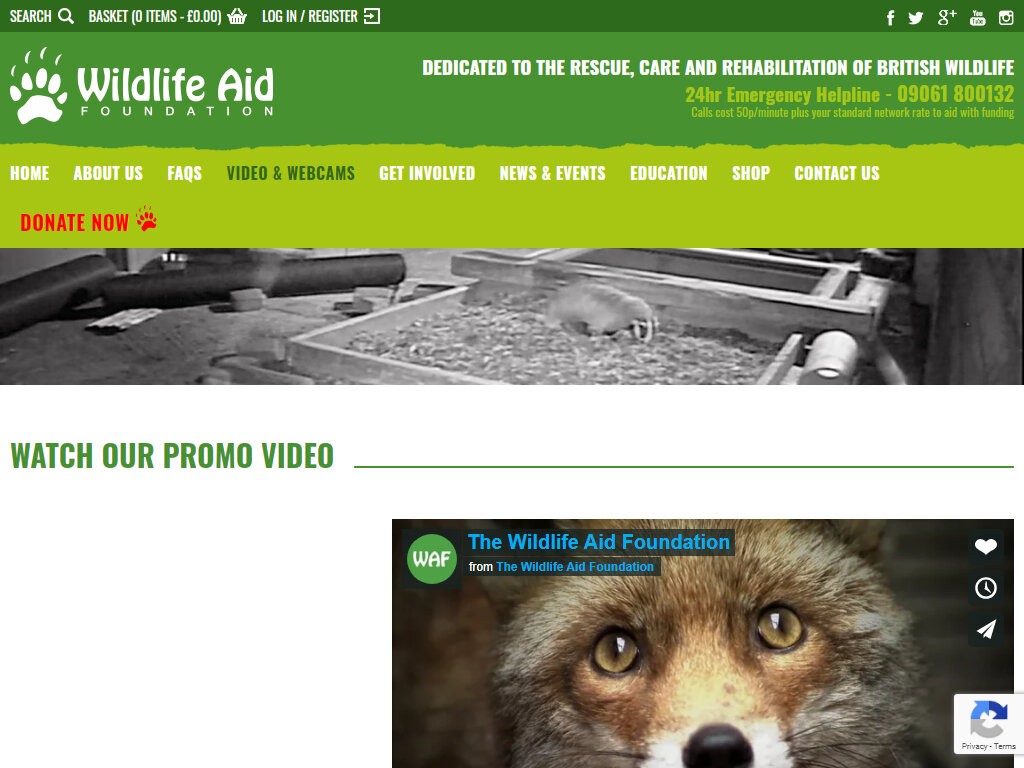 Wildlife Aid Video & Webcames